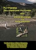 Fly Fishing Yellowstone Hatches