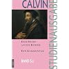 Calvin-Studienausgabe: Der Brief an die R�mer: Ein Kommentar: 5.2