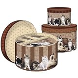 Store With Style Kitty City Nesting Boxes 8 x 8 x 7 inches