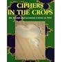 Ciphers in the Crops: The Fractal and Geometric Crop Formation of 1991