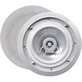6.5 Weather Resistant Speaker