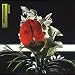 Rhizomatic Baby [VINYL]