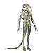 NECA Aliens Series 7 Concept 79' Action Figure (7