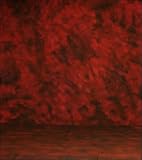 Prism Backdrops AMRE1020