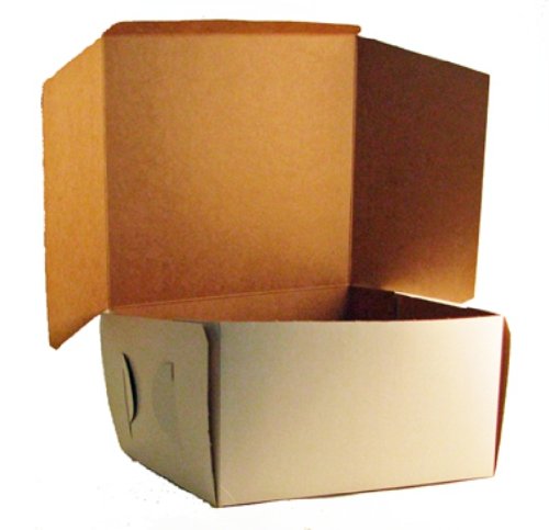 Smyrna Container Co 10 X 10 X 5.5 Inch Cake Box, Pack of 100