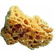 Trimaco LLC 10136 Painting Sponge