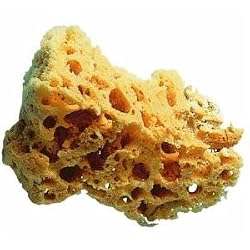 Trimaco LLC 10136 Painting Sponge