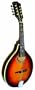 Gold Tone GM-50 A-Style Mandolin (Maple)
