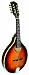 Musical Instruments : Gold Tone GM-50 A-Style Mandolin (Maple)