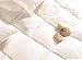 Baby : Glacier Luxurious Cal-King White Goose Down Comforter for Snow Comfort - 700 Fill Power