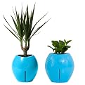 Grobal Self-Watering Flower Pots - Sky Blue