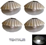 TEKTRUM OUTDOOR SOLAR GARDEN SEA SHELL SPOT LIGHTS (Set of 4)