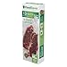 FoodSaver 1-Gallon Precut Vacuum Seal Bags with BPA-Free Multilayer Construction for Food Preservation, 13 Count