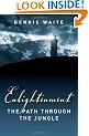 Enlightenment: The Path Through the Jungle