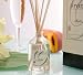 persian44  - Erome Reed Diffusers 40 oz Persian Lime Ginger