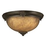 Berkshire Collection 13 Wide Outdoor Ceiling Light