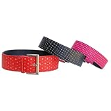 Beau Nouveau BNCOBLDOTSBB14 BLING Dots Collar - Baby Blue - 11 -14 Inch