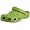 Parrot Green