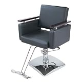 Hydraulic Styling Chair Barber Beauty Salon Equipment