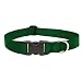 Lupine 1" Green 16-28 Adjustable Dog Collar