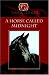 A Horse Called Midnight (Thermosphere - Dark Horse) (Thermosphere - Dark Horse)