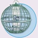 Squirrel Proof Globe Bird Feeder