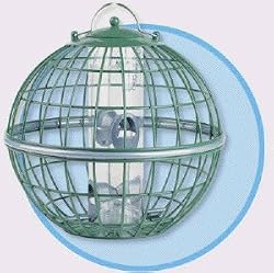 Globe Bird Seed Feeder