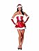 Dreamgirl Women's Santa's Sweetie Costume