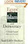 Egypt Islam and Democracy: Critical Essays