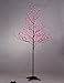 Lightshare 6-Feet 208L LED Rose Flower Tree with C7 Decoration Light, Warm White