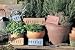 Words in Stone Garden Stone Kit