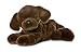 Plush Lil Lucky Chocolate Lab Mini Flopsie 8