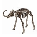 Educational Insights Ice Age Dig Set - Wooly Mammoth