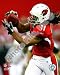 Larry Fitzgerald Cardinals Catching Football 8x10 Photo