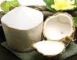 Melissa's Fresh Young Coconuts, Set of 3