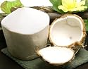 Melissa's Fresh Young Coconuts, Set of 3