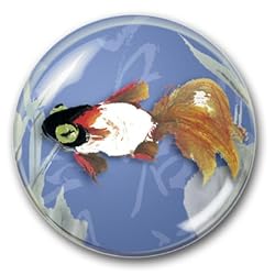 Fantail - Crystal Dome Paperweight