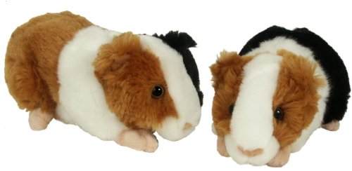 Childrens Toyshop  Toys : Guinea Pig 22cm Cuddly - FRS 82