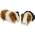 One Guinea Pig 22cm Cuddly - FRS 82