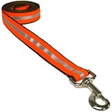 Sassy Dog Wear 6-Feet Reflective Orange Dog Leash, Large
