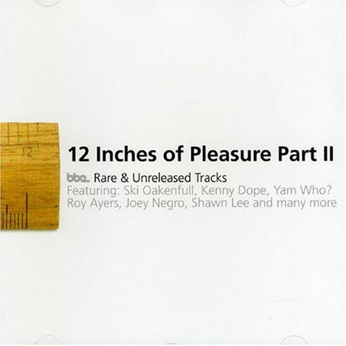CD-Charts  Search : Twelve Inches of Pleasure: BBE Singles, Vol. 2