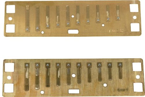 Lee Oskar Reed Plates Natural Minor F#
