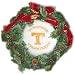 Tennessee Volunteers 22