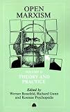 Open Marxism 2: Theory and Practice v. 2