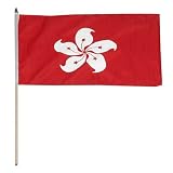 Hong Kong Flag 12 x 18 inch