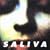 Saliva