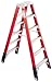 Werner T7404 4-Foot 375-Pound Duty Rating Fiberglass Multi-Use Twin Ladder