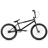 13 DK Cygnus Black