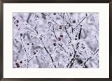 Winnipeg Manitoba, Canada Winter Scenes Framed Art Poster Print by Keith Levit, 29x21