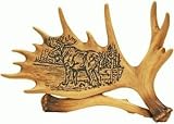 Moose Design on a Moose Antler Lodge Decor 7 (Great Desk or Shelf Decor)